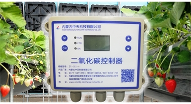 中國(guó)北方CO?新技術(shù)，將促進(jìn)農(nóng)作物光合作用和光合產(chǎn)物的生成