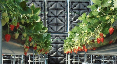 酷寒的冬日里，外界－30℃下，棚內(nèi)無需加溫竟可達到8℃以上-水蓄熱內(nèi)外雙保...