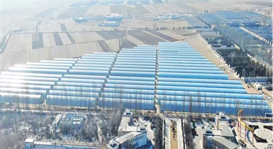 準格爾旗現代設施農業科技轉化示范園