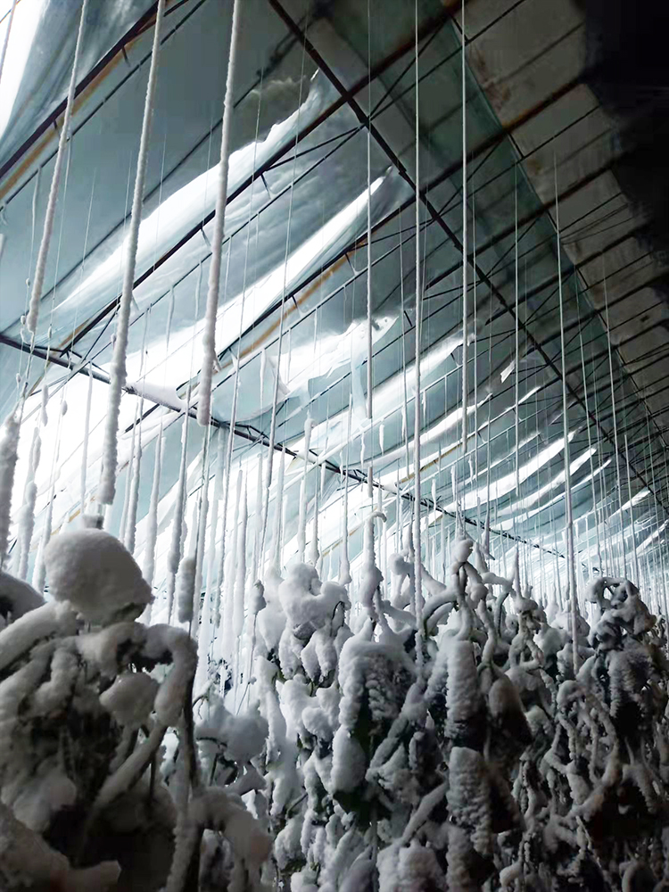 受災(zāi)750.jpg 受災(zāi)750.jpg