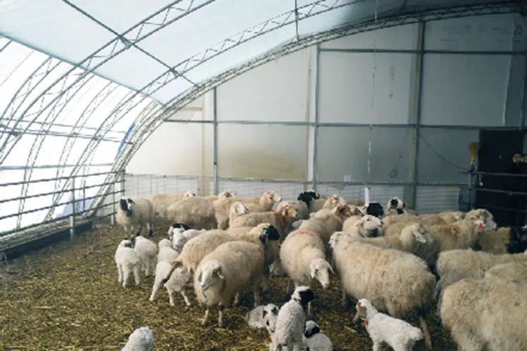 012348645.jpg 012348645.jpg