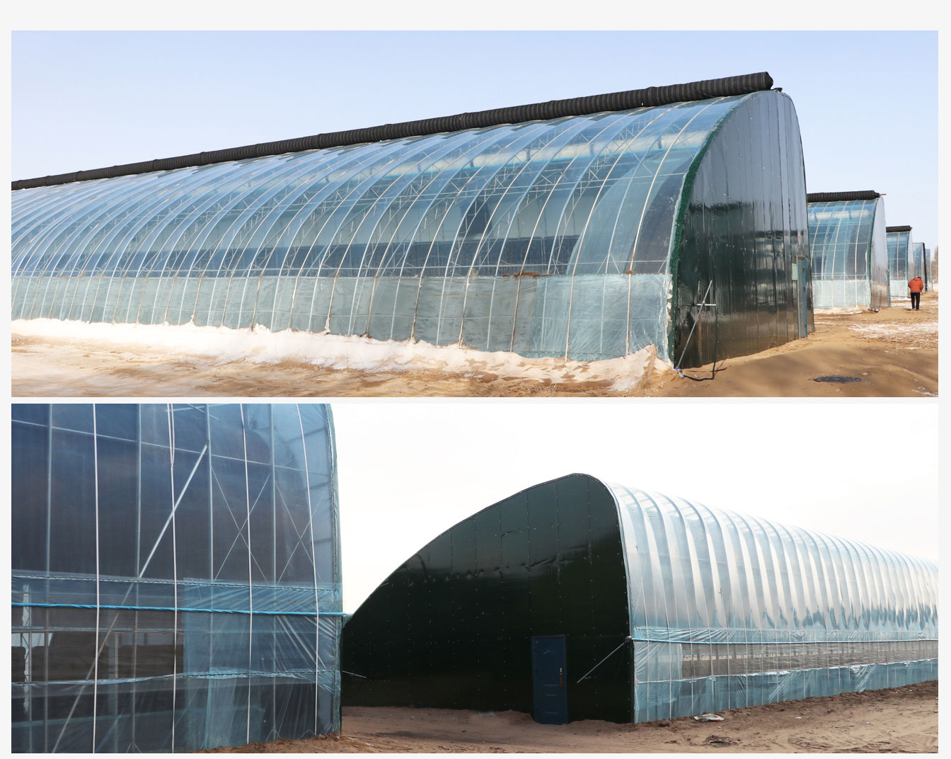 鄂爾多斯市準(zhǔn)格爾旗蓿亥圖高標(biāo)準(zhǔn)日光溫室示范基地_07.jpg 鄂爾多斯市準(zhǔn)格爾旗蓿亥圖高標(biāo)準(zhǔn)日光溫室示范基地_07.jpg