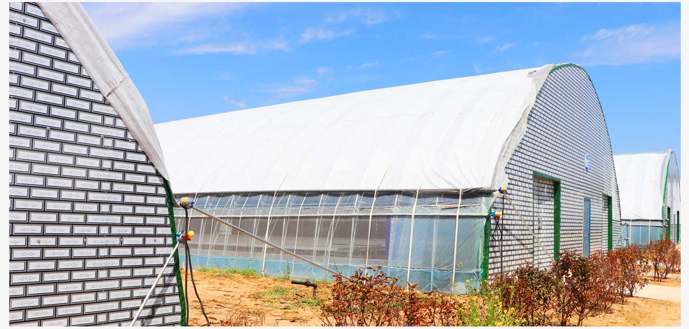 準格爾旗現代智慧設施農業產業園(網頁)_26.jpg 準格爾旗現代智慧設施農業產業園(網頁)_26.jpg