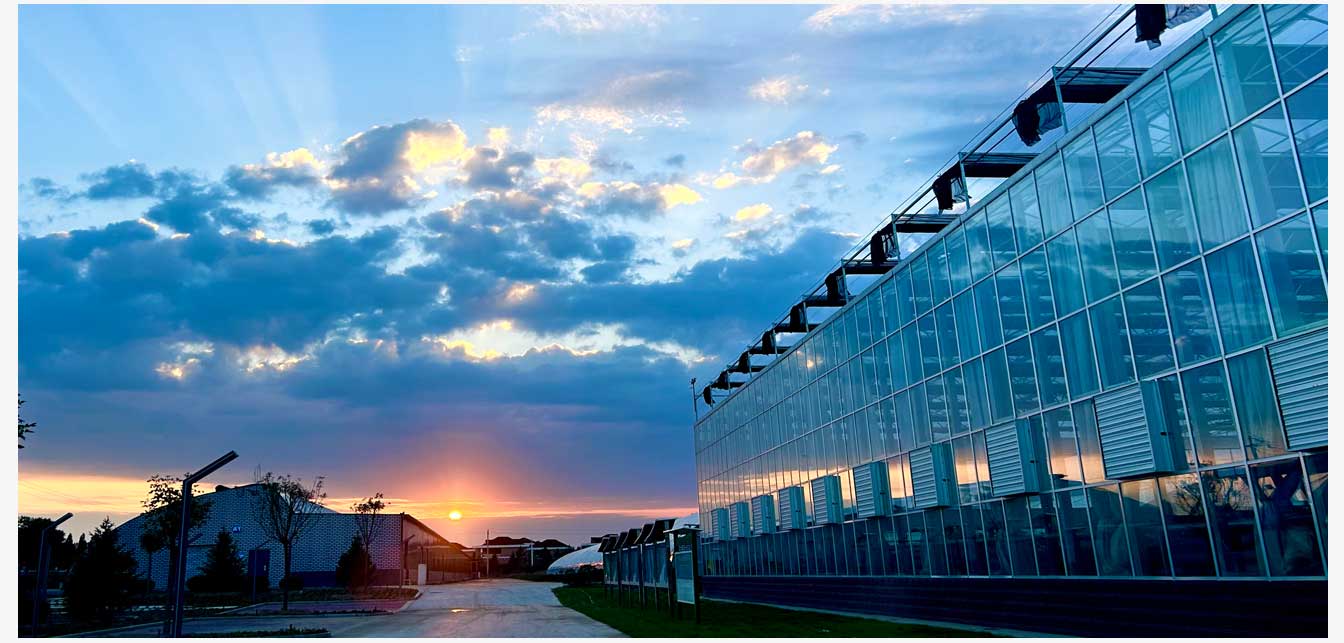 準格爾旗現代智慧設施農業產業園(網頁)_23.jpg 準格爾旗現代智慧設施農業產業園(網頁)_23.jpg