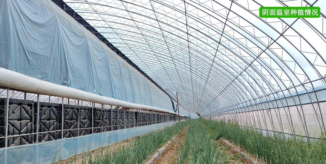 2、四季溫室網(wǎng)頁_13.jpg 2、四季溫室網(wǎng)頁_13.jpg