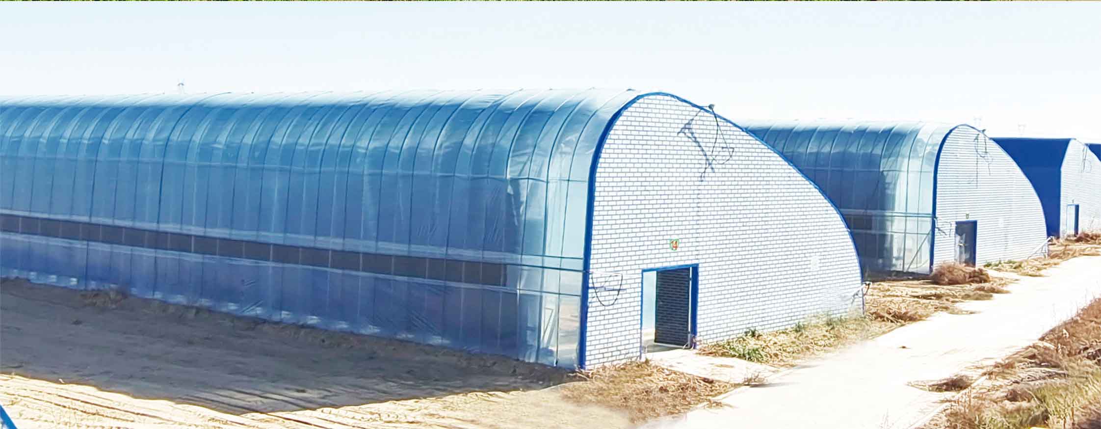 2、冬室夏棚網頁_10.jpg 2、冬室夏棚網頁_10.jpg